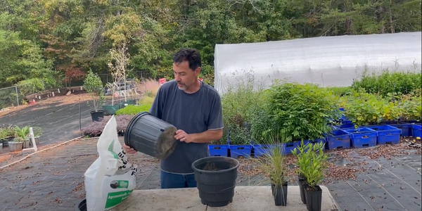 When to use a root maker versus a 3-gallon pot