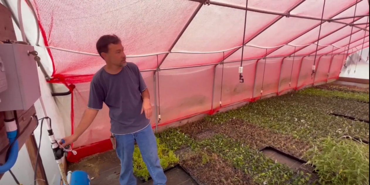 How our mist system works Brightwater Nursery